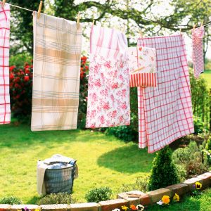 washing line