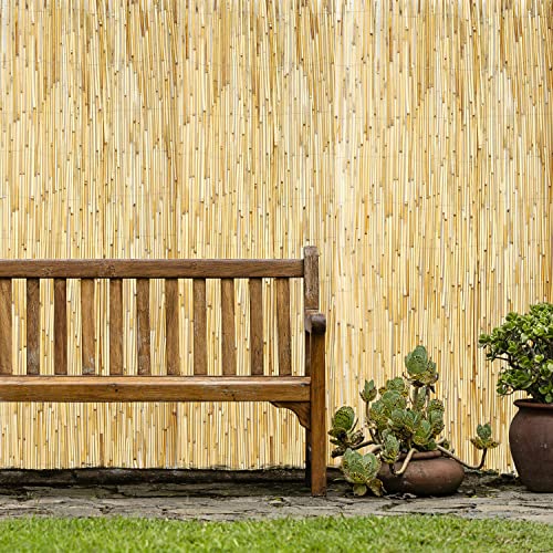 Backyard X-Scapes Natural Reed Fencing Decorative Fence for Backyard Garden Fencing Divider 4 Ft H X 8 Ft L