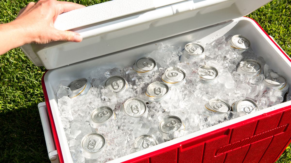 Five Expensive Coolers Tested and Compared