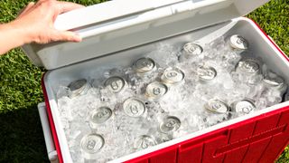 yeti vs igloo: camping cooler