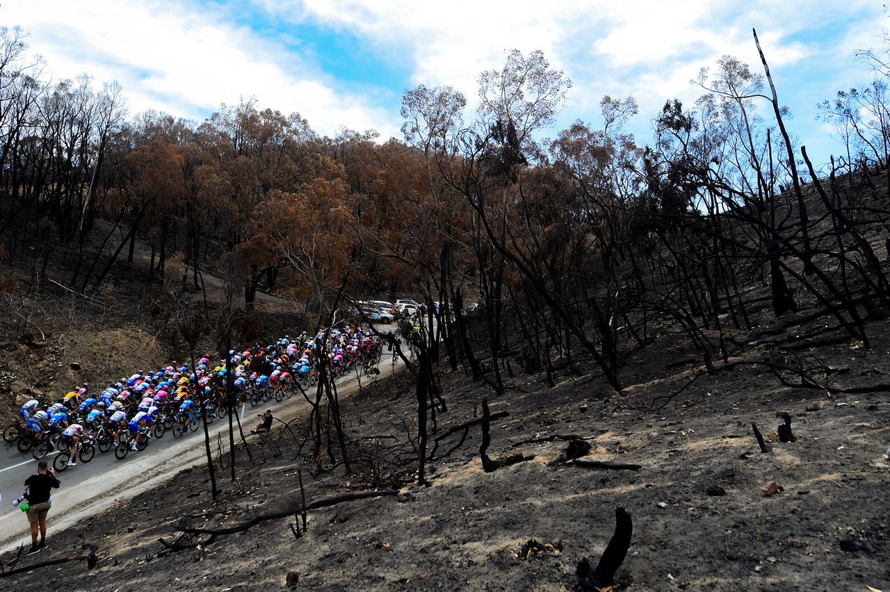 The 2020 Tour Down Under peloton passes through an area of the Adelaide Hills affected by the bushfires on stage 2