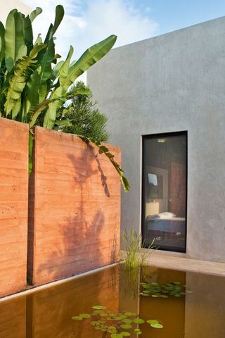clay feature wall in modern garden with pond