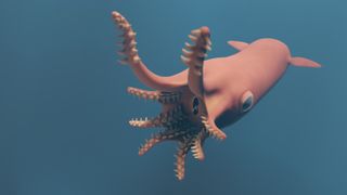illustration of a jurassic cephalopod called Vampyronassa rhodanica