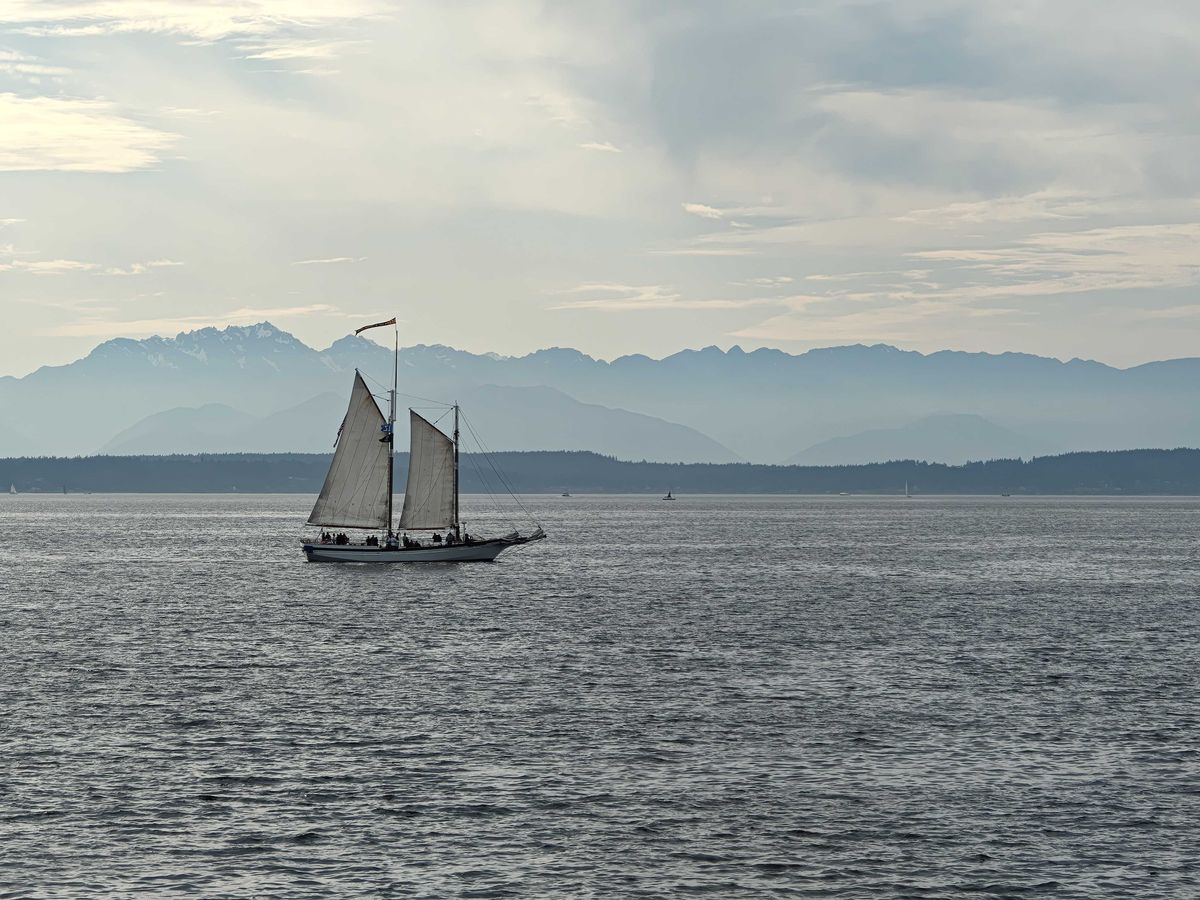 A sailboat in the distance