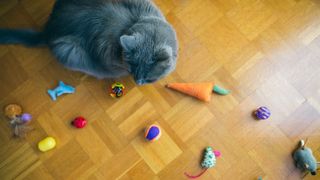 which cat toys are best
