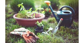 garden tools in summer to support sowing grass seed in autumn to get ahead