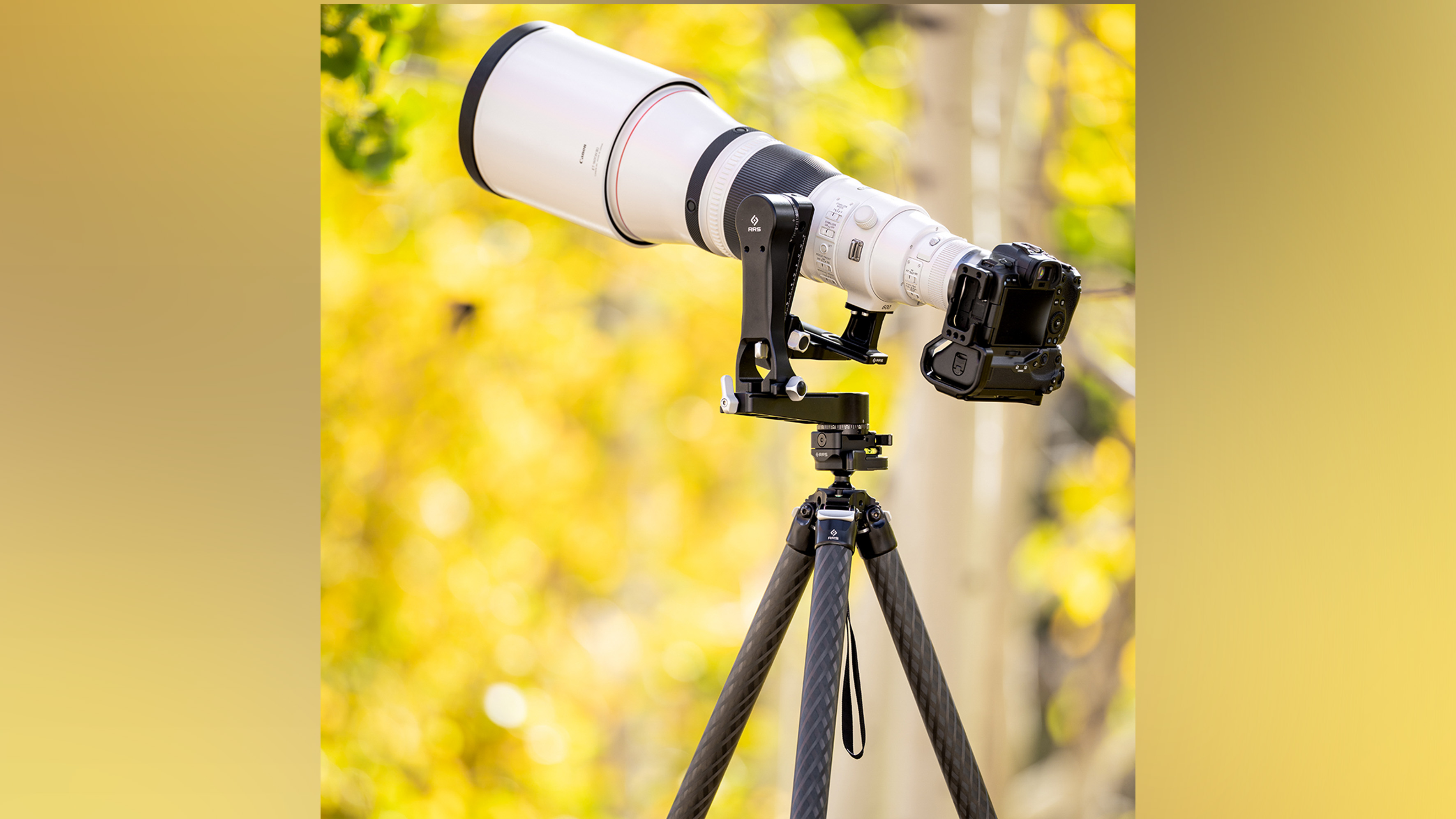 The RSS Benchmark carbon fiber tripod