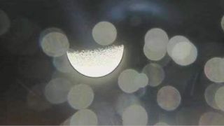a quarter moon hangs in back like a bowl floating in the abyss. there are scattered circles of unfocused lens flare.