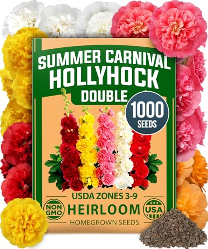 Home Grown Hollyhock Summer Carnival Mix Flower Seeds &amp;ndash; Alcea Rosea, Premium Annual Flower Seeds, 1000 Seeds for Planting Flowers, High-Germination Flower Seed Bulk Pack
