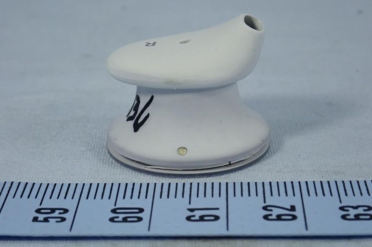 Surface Earbuds FCC 4