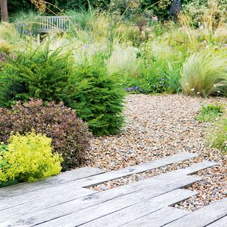 garden with plants and gravel