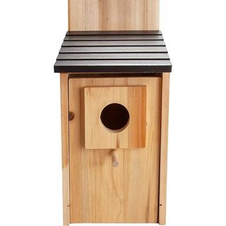 Bird box in cedar