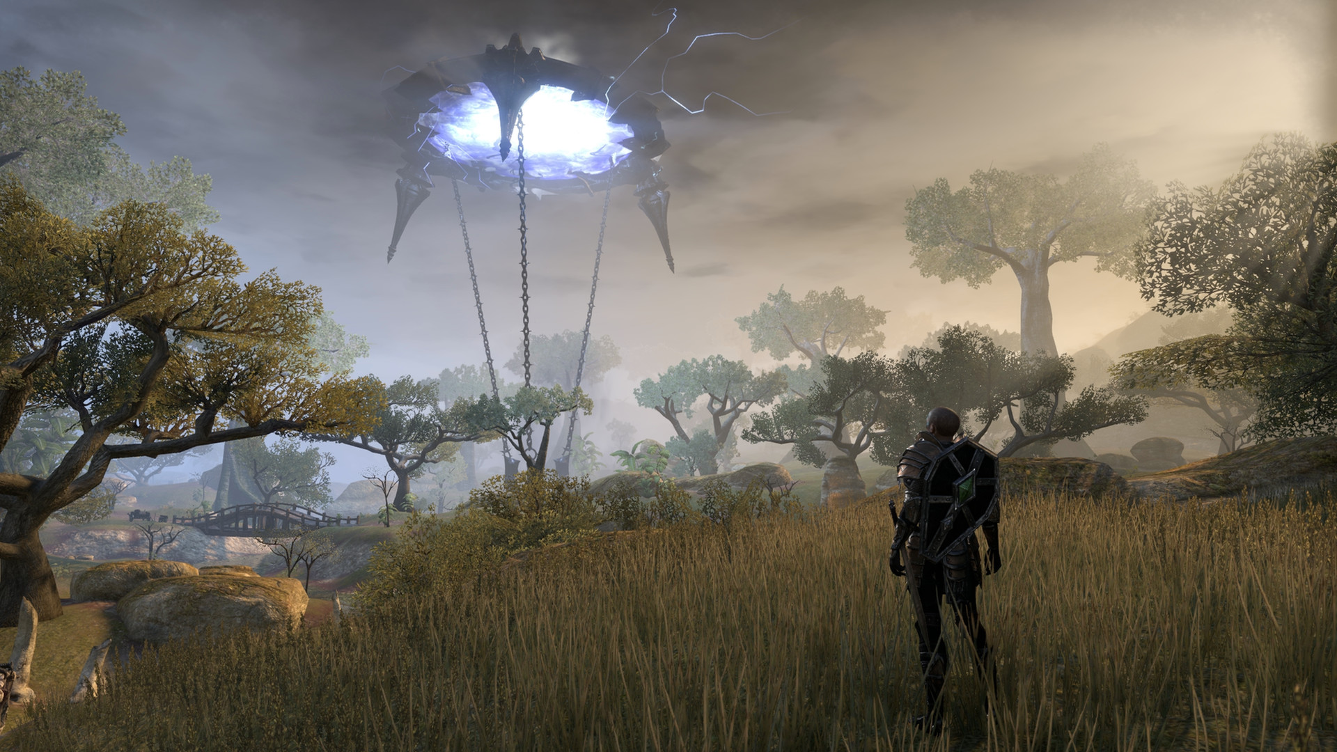 a male character in armor looking at a large tear in the sky from the forest