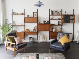 Mid-century modern living room with storage unit
