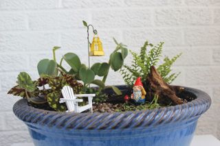 indoor miniature garden