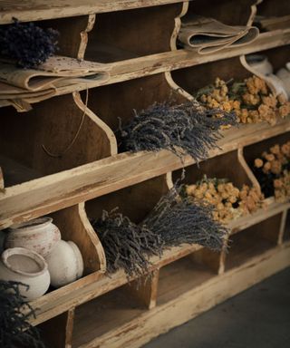 Wooden shelves, plants