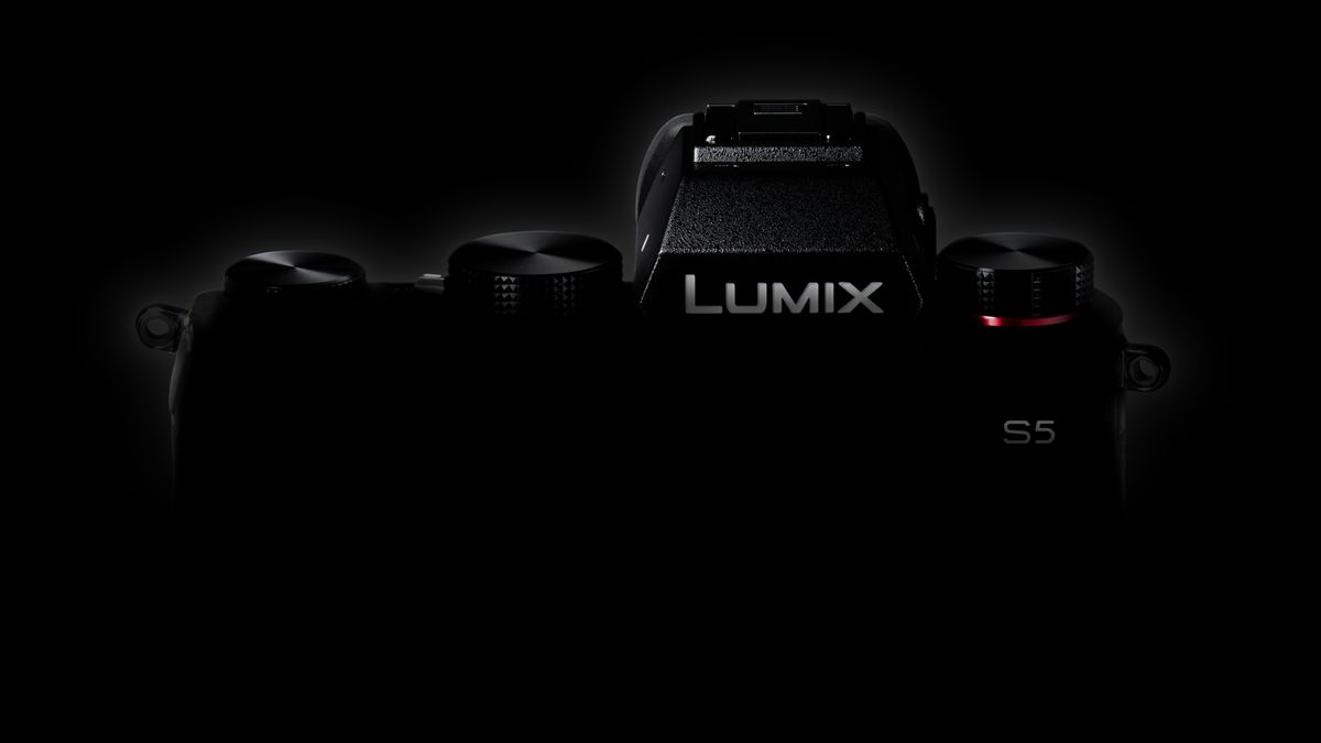 Panasonic Lumix S5