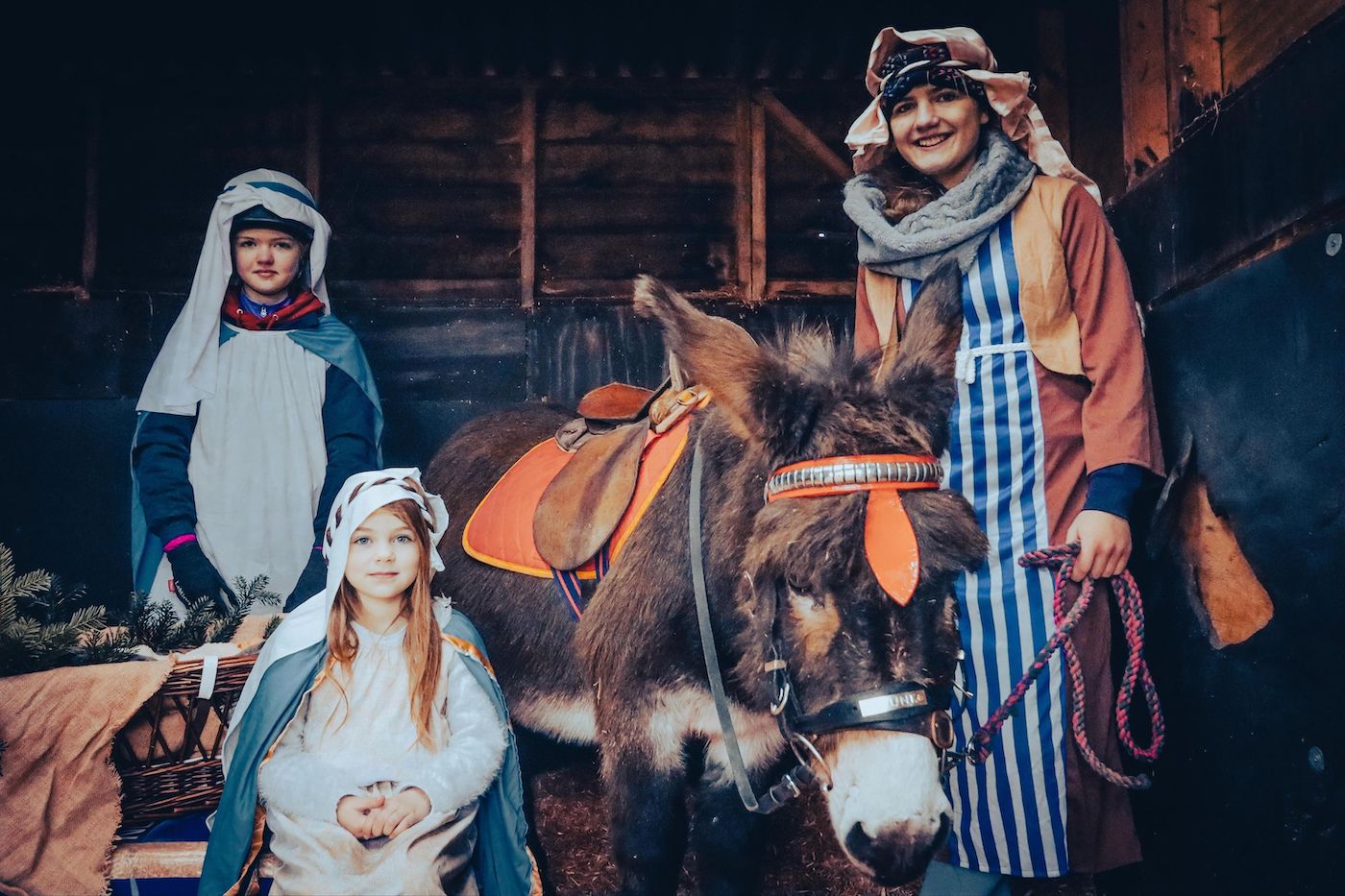 The Stable Lives living nativity