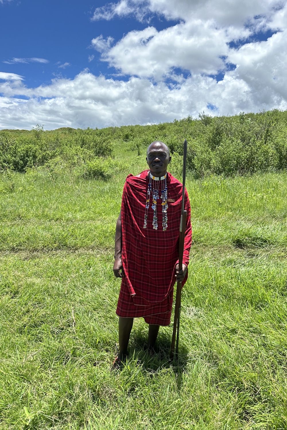 Lunch in the savannah