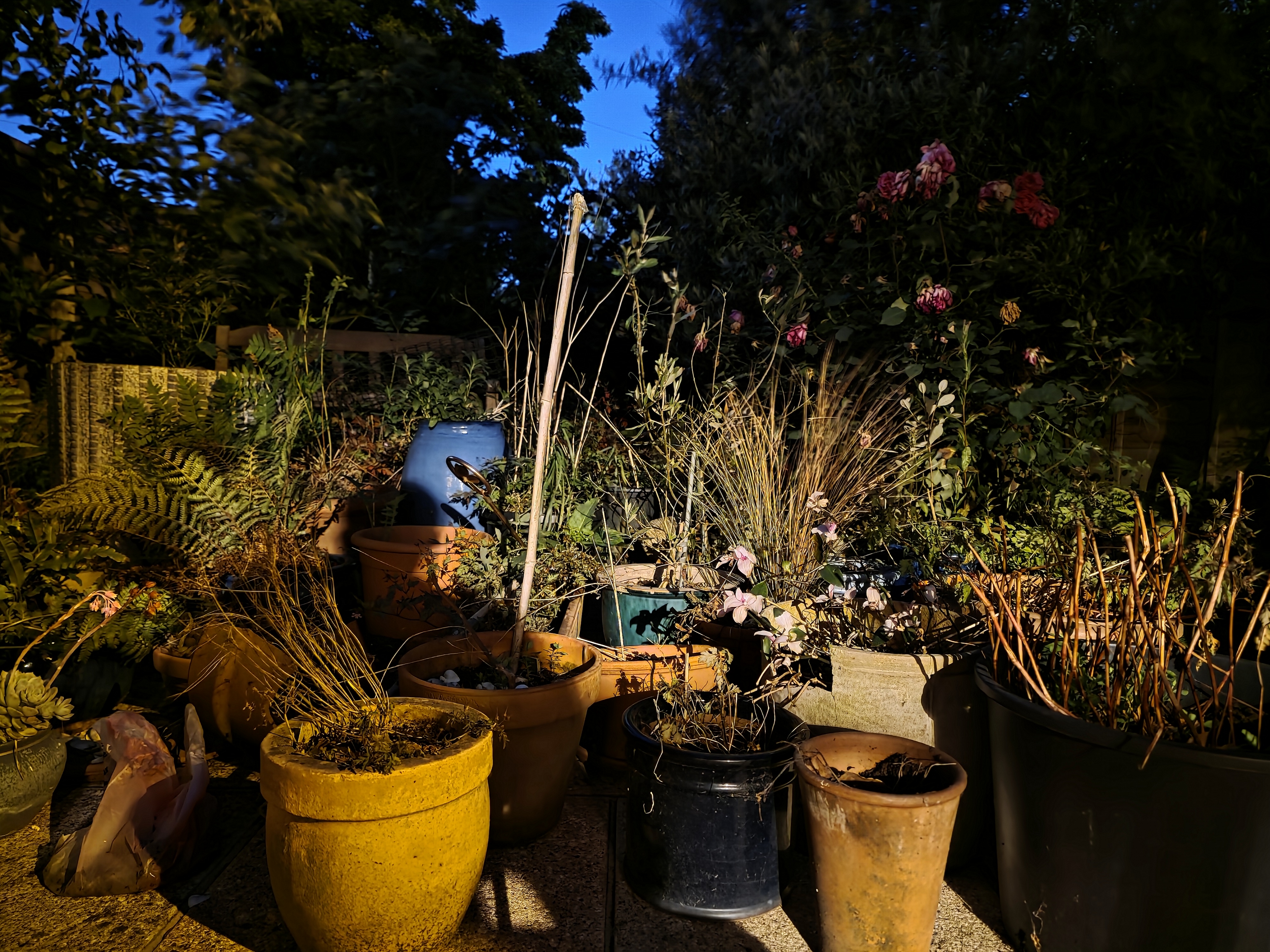 Galaxy S25 Ultra camera sample night mode