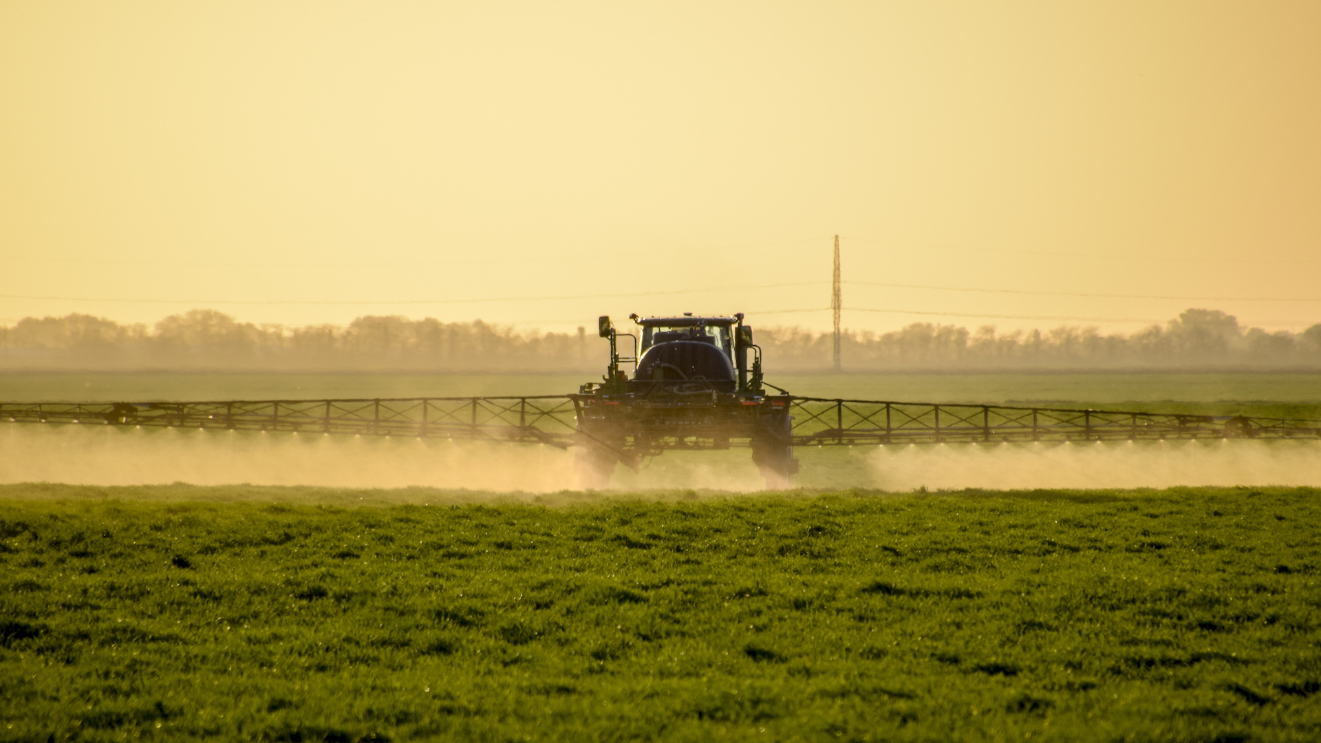 Not All Roundup® is Glyphosate - Gardening Solutions - University of  Florida, Institute of Food and Agricultural Sciences