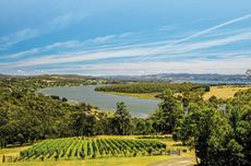 The view down to the Tamar river from Brady&rsquo;s Lookout, Tasmania