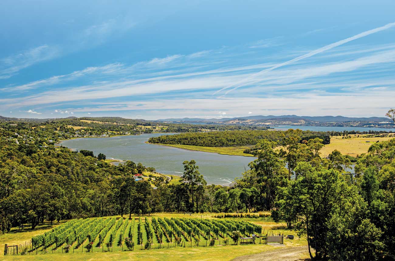 The view down to the Tamar river from Brady&rsquo;s Lookout, Tasmania
