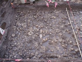 Submerged rock pavement (shown here) would have allowed the indigenous people to control how far their tubers grew, making for easier harvesting.