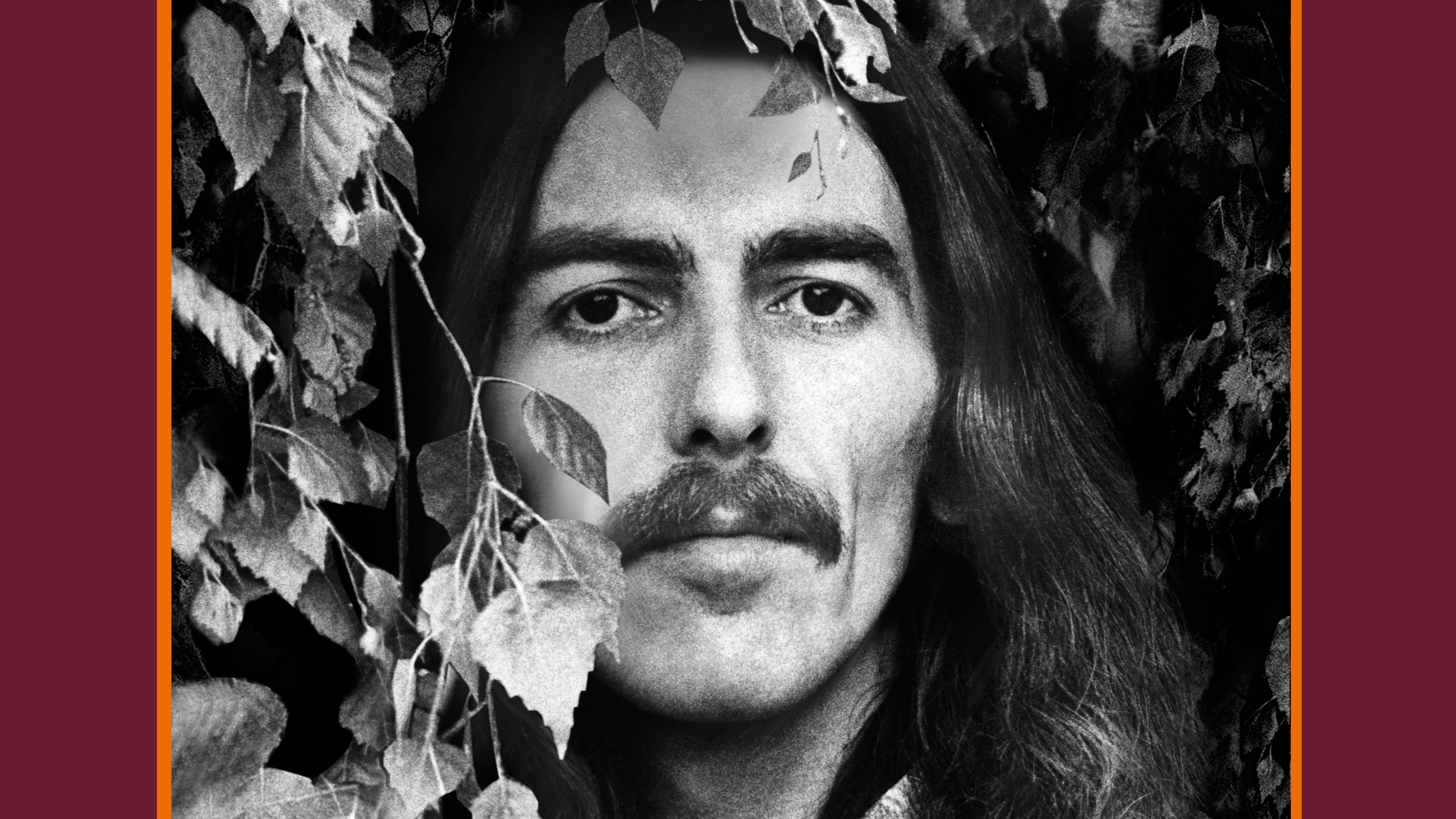 Cover art for George Harrison - The Vinyl Collection album