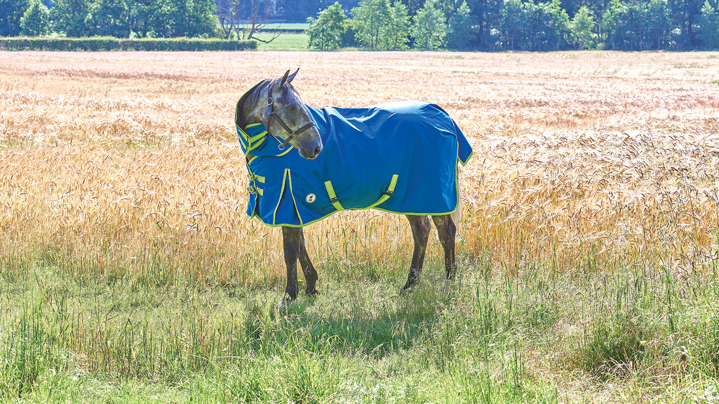 HAH303.ft_sustainableownership.box_evolution_turnout_rug.jpg