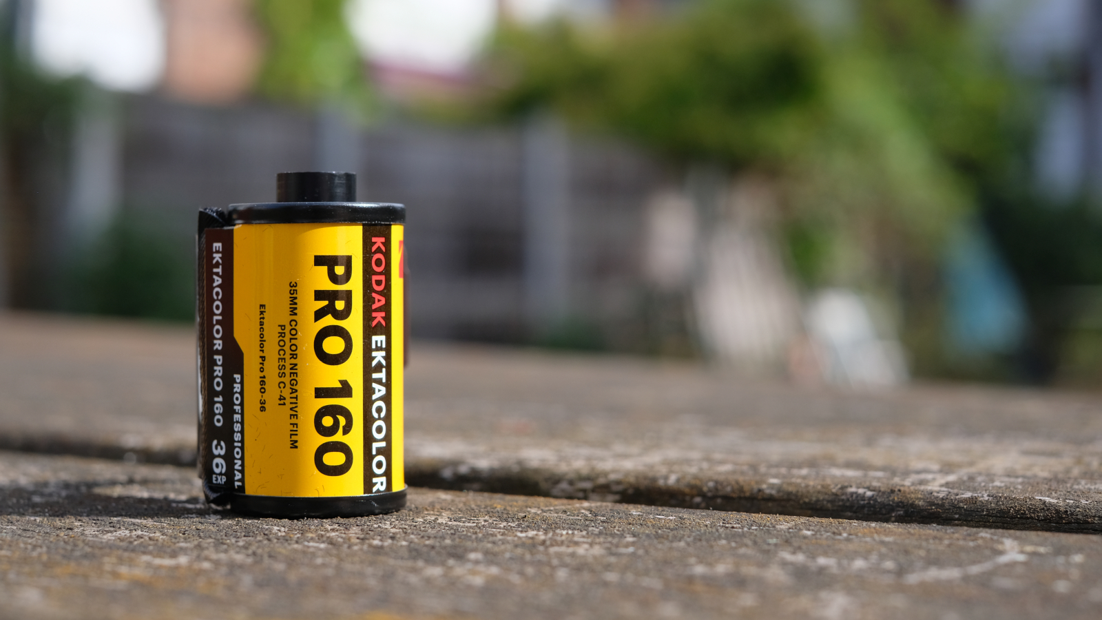 Photograph of Kodak Ektacolor Pro 160 35mm film