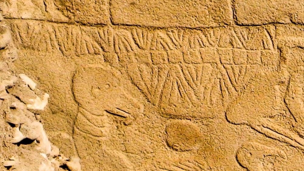 An ancient carving of a bird-like animal surround by symbols