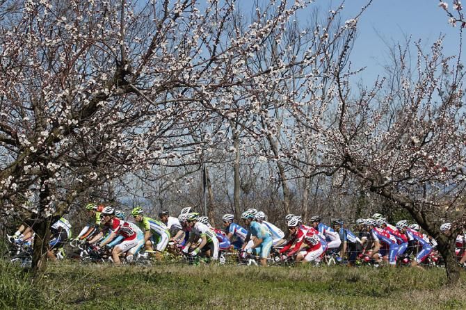 The peloton
