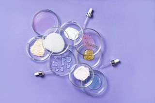 A lilac background with several petri dishes containing various beauty product ingredients. Some are liquids, some are powders.