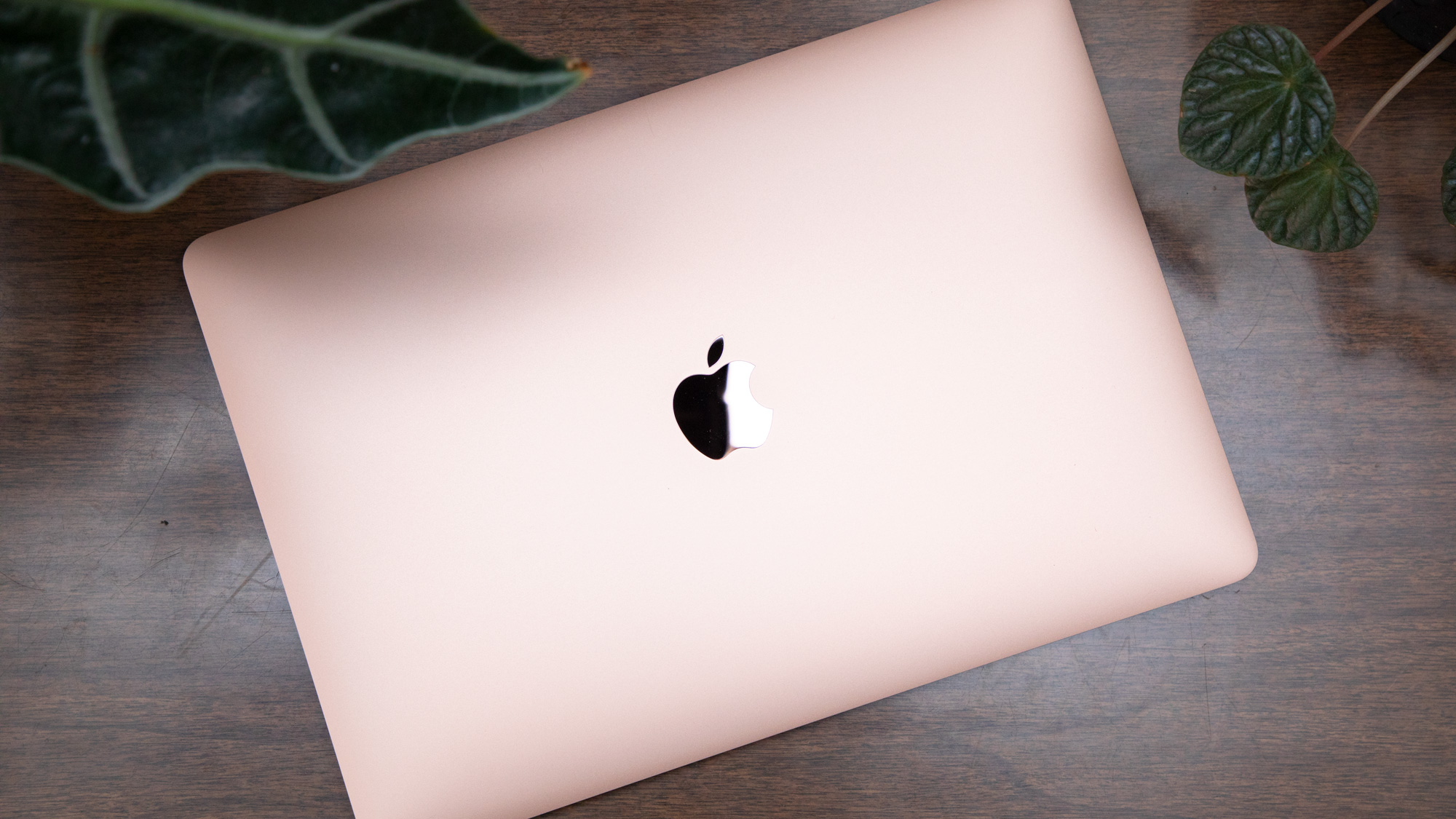 Repaired Macbooks Iphones Are Stuck At Apple Stores Due To Coronavirus Laptop Mag