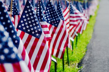 American flags lined up alongside a road for Memorial Day