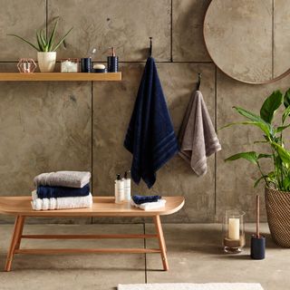 bathroom with blue towel and potted plants