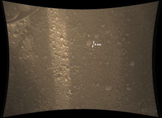 This color view from NASA's Mars rover Curiosity shows the Martian surface covered in small rocks.