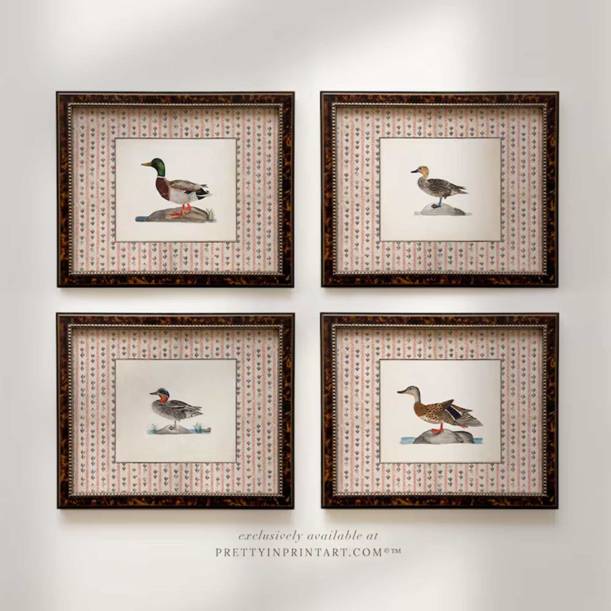 Vintage Art Prints; Ducks | Unframed