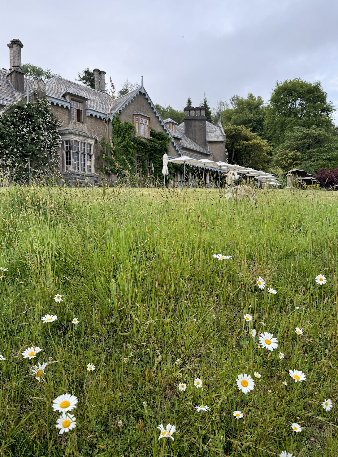 An old-fashioned building surrounded by grass