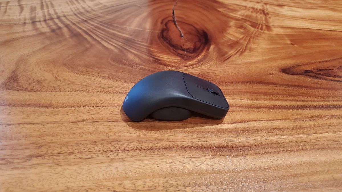 adaptive mouse tail/thumb rest