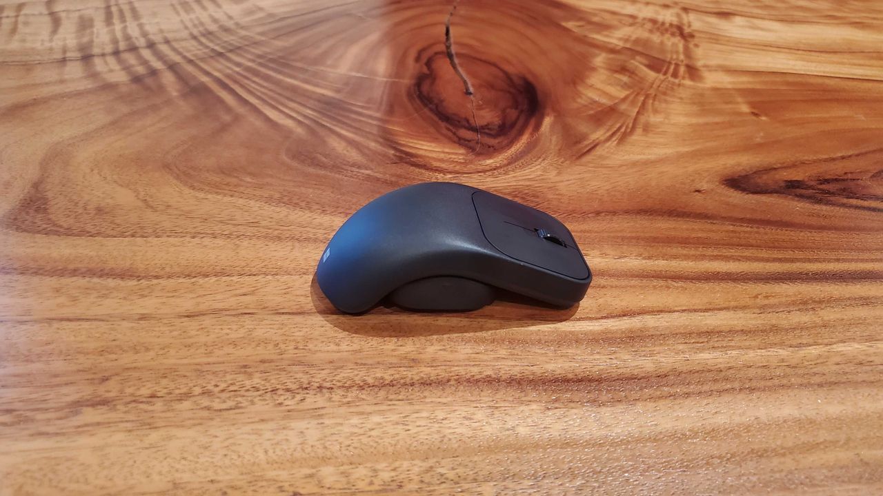adaptive mouse tail/thumb rest