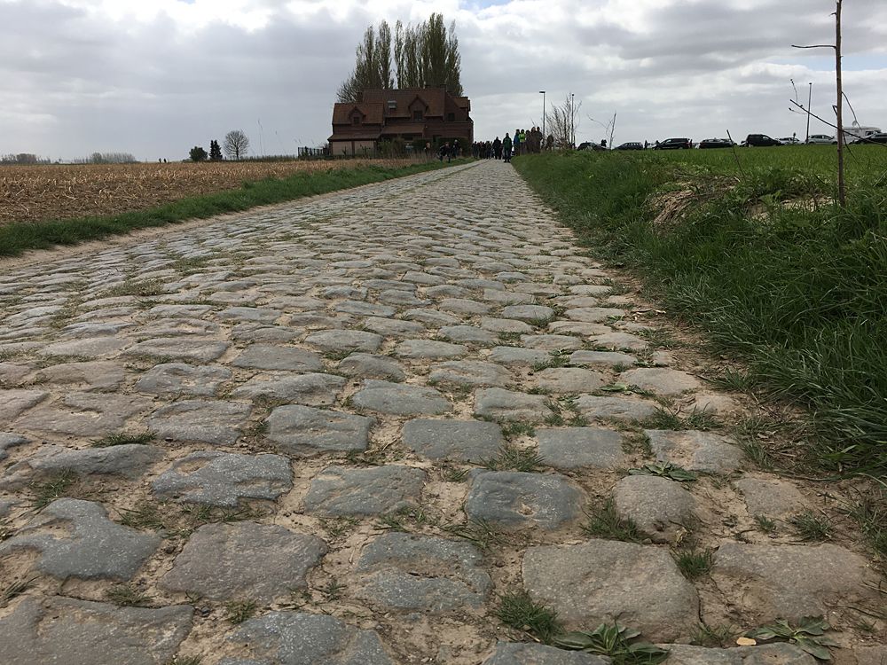 The Carrefour de l'Arbre