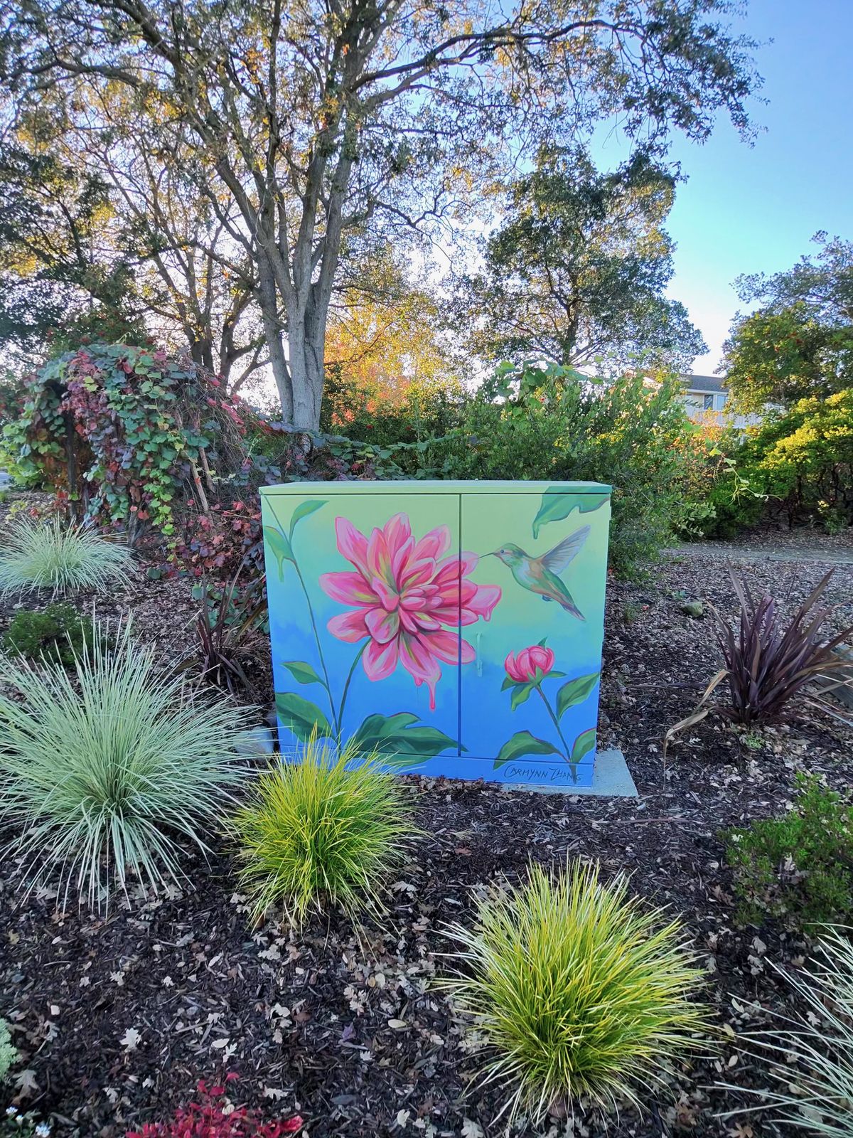 A photo taken with the Oakley Meta Vanguard smart glasses, showing a colorful mural with flowers and a hummingbird, surrounded by plants.