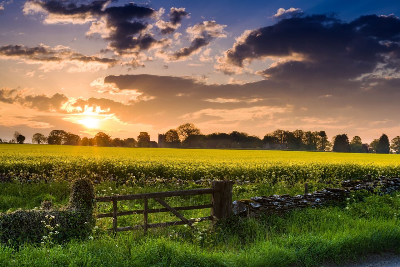 farm sunrise