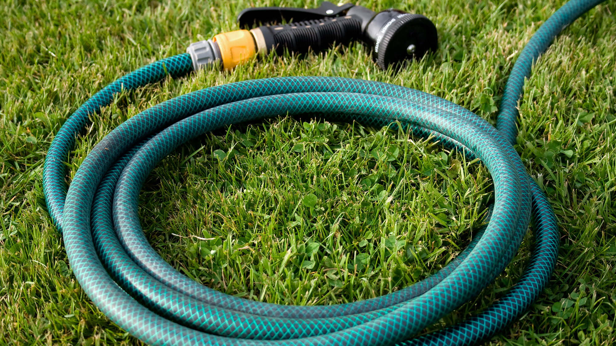Garden hose on lawn