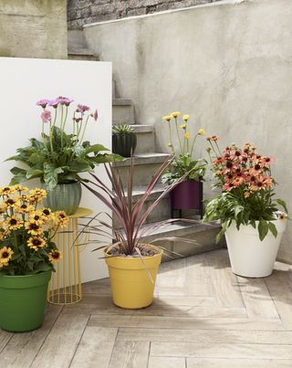 colorful garden pots from dobbies