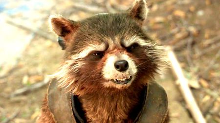 Rocket in Guardians of the Galaxy Vol. 2