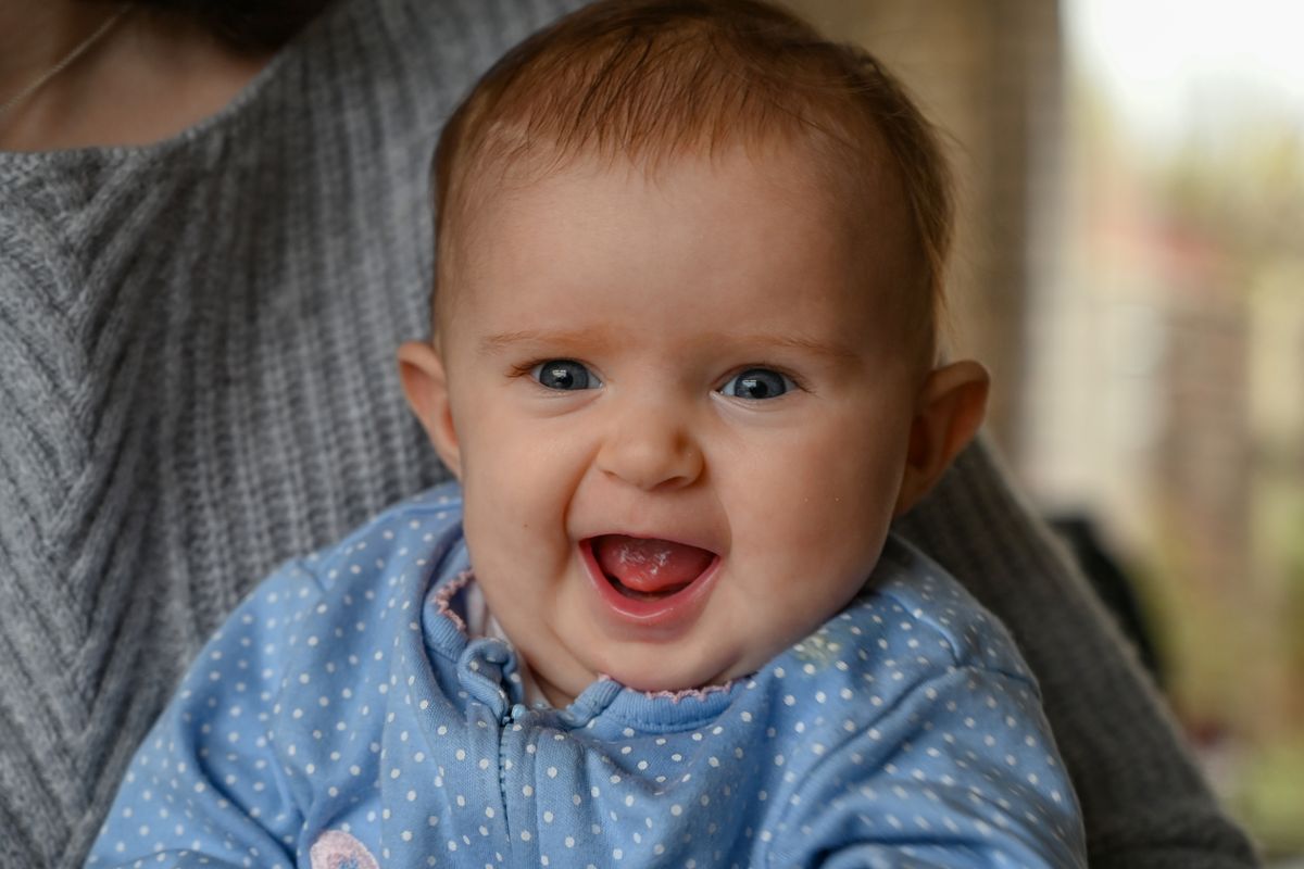 Nikon Z6 with 24-70mm f/4, 1/60 sec at f/4, ISO560