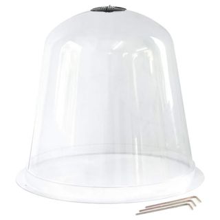 Thompson & Morgan bell cloche on white background